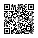 C&oacute;digo QR con el enlace al titular El PP seÃ±ala Â«la chapuzaÂ» del Ayuntamiento al colocar farolas Â«a tiroÂ» del parachoques