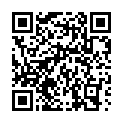 C&oacute;digo QR con el enlace al titular new puritans