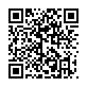 C&oacute;digo QR con el enlace al titular Venecias
