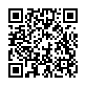 C&oacute;digo QR con el enlace al titular Palindromista