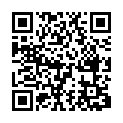 C&oacute;digo QR con el enlace al titular Un herido tras volcar su vehÃ­culo ante el Arco de San Benito en SahagÃºn