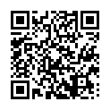 C&oacute;digo QR con el enlace al titular El desprendimiento de una catenaria afecta a una treintena de trenes de las lÃ­neas que unen LeÃ³n con Asturias, El Bierzo y Galicia