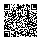 C&oacute;digo QR con el enlace al titular Circula por una carretera de CÃ¡diz subido a un tobogÃ¡n instalado en el techo de un coche