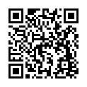 C&oacute;digo QR con el enlace al titular El Carnaval se salda con 39 conductores que dan positivo en consumo de alcohol y seis en drogas