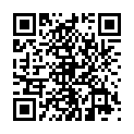 C&oacute;digo QR con el enlace al titular Buscando a EscÃ¡libur