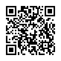 C&oacute;digo QR con el enlace al titular DÃ­as de Rastro y porras