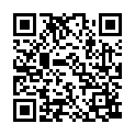 C&oacute;digo QR con el enlace al titular SahagÃºn, una mina de piedras preciosas