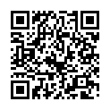 C&oacute;digo QR con el enlace al titular Diez critica a Villarroel por ir a comisiones de la DiputaciÃ³n durante el estado de alarma