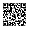 C&oacute;digo QR con el enlace al titular La PolicÃ­a Local de LeÃ³n denuncia a 12 personas por incumplir las medidas del estado de alarma