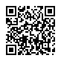 C&oacute;digo QR con el enlace al titular Himoinsa Team: la â€œrojaâ€ del Dakar