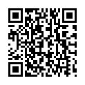C&oacute;digo QR con el enlace al titular Los vuelos se reducen un 90% en EspaÃ±a y un 55% en todo el mundo