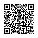 C&oacute;digo QR con el enlace al titular La bandera del Bierzo cumple 20 aÃ±os