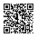 C&oacute;digo QR con el enlace al titular Poleskine