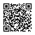 C&oacute;digo QR con el enlace al titular Poleskine / 4