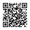 C&oacute;digo QR con el enlace al titular Taller del editor