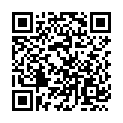 C&oacute;digo QR con el enlace al titular Â¿DÃ³nde estÃ¡ la pilona?