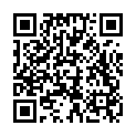 C&oacute;digo QR con el enlace al titular Poleskine / 5