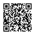 C&oacute;digo QR con el enlace al titular Poleskine / 6