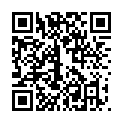 C&oacute;digo QR con el enlace al titular Poleskine / 7