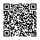 C&oacute;digo QR con el enlace al titular Un aviÃ³n de pasajeros se estrella en un barrio residencial de PakistÃ¡n