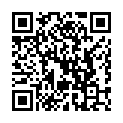 C&oacute;digo QR con el enlace al titular Cuando el general abandona en plena batalla