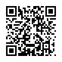 C&oacute;digo QR con el enlace al titular DÃ­as de Rastro