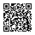 C&oacute;digo QR con el enlace al titular Repuntan las sanciones de la PolicÃ­a Local por incumplir el estado de alarma, con 11 este domingo