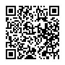 C&oacute;digo QR con el enlace al titular Un vehÃ­culo entra a gran velocidad en la Plaza de San Juan de Valladolid causando un muerto