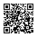 C&oacute;digo QR con el enlace al titular Los sindicatos llaman a la huelga a trabajadores de los cinco establecimientos de Lidl en LeÃ³n