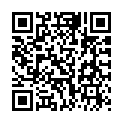 C&oacute;digo QR con el enlace al titular Solapa