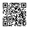 C&oacute;digo QR con el enlace al titular Poleskine / 10