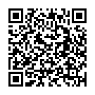C&oacute;digo QR con el enlace al titular El PSOE define el ICE como â€œchinguito de la Juntaâ€