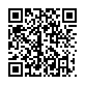 C&oacute;digo QR con el enlace al titular Poleskine / 11