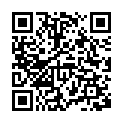 C&oacute;digo QR con el enlace al titular Vuelven los Trenes Playeros de Renfe