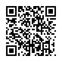 C&oacute;digo QR con el enlace al titular Afiche