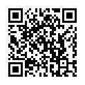 C&oacute;digo QR con el enlace al titular La ConsejerÃ­a de Fomento y la DiputaciÃ³n de LeÃ³n destinarÃ¡n 5,3 millones de euros para dotar de internet a toda la provincia