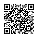 C&oacute;digo QR con el enlace al titular Poleskine / 12