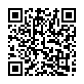 Código QR con el enlace al titular Este es el mapa para desfrutar de los carros engalanados y pendones