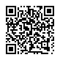 Código QR con el enlace al titular Llorente presenta «en próximos días», tras seis meses de retraso, la tienda online de la Diputación