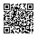 Código QR con el enlace al titular Críticas desde la oposición a la falta de compromisos en la visita de Pedro Sánchez
