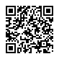 Código QR con el enlace al titular La Policía Local de León denuncia a un pub de la Plaza Mayor por hacer demasiado ruido