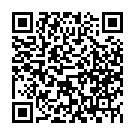 Código QR con el enlace al titular Ricardo Lezón: «Lo mejor que nos ha pasado con Mcenroe es la gente que hemos conocido»