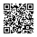 Código QR con el enlace al titular Los aeropuertos de León y Valladolid aumentan su oferta de vuelos en la campaña de Navidad