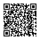 Código QR con el enlace al titular Un turismo atropella a un joven en el casco urbano de Carrizo de la Ribera