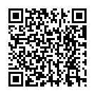 Código QR con el enlace al titular Susto para David Vidales: sale 'volando' tras un accidente en la lucha por liderar la carrera