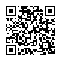 Código QR con el enlace al titular La maleta del viajante
