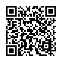 Código QR con el enlace al titular Diez ve «insuficientes y poco inversores» los presupuestos de la Junta para la ciudad