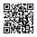 Código QR con el enlace al titular El puente de Todos los Santos se salda con una denuncia por conducir bajo los efectos del alcohol y siete coches retirados de la vía