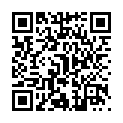 Código QR con el enlace al titular La última subasta de armas que se celebra en León adjudica 103 lotes y deja otros 301 desiertos