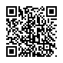 Código QR con el enlace al titular Señales de adorno a prueba de kamikazes